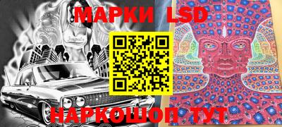 шишки Изобильный
