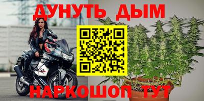 шишки Изобильный