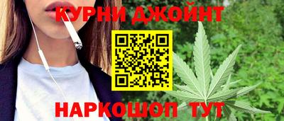 шишки Изобильный