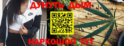 шишки Изобильный