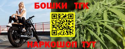 шишки Изобильный