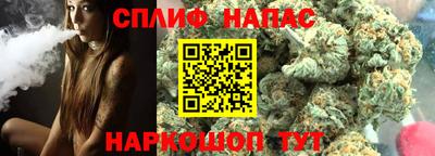 шишки Изобильный