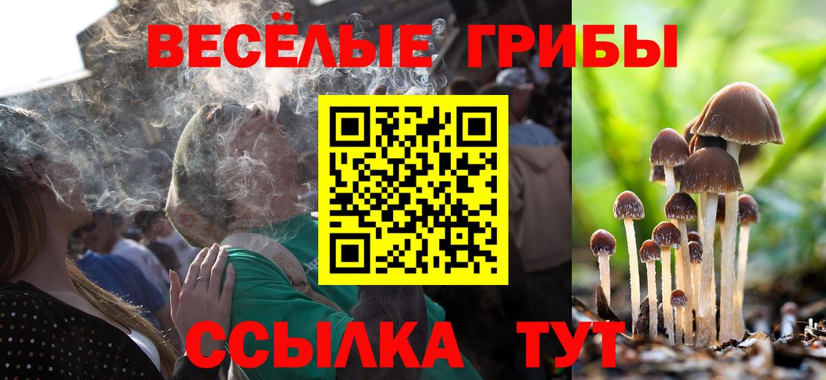 наркотики  Псилоцибиновые грибы мухоморы  Вход с VPN  Псилоцибиновые грибы мицелий  Лыткарино 